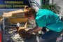 Cãozinho resgatado em São Leopoldo<!-- NICAID(15374473) -->