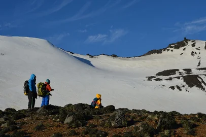Fungo da Antártica pode levar a novo biopesticida natural<!-- NICAID(15994898) -->