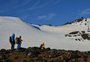 A alternativa ao uso de agroquímicos nas lavouras que vem da Antártica