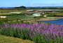 Parque de flores do RS é selecionado para Bienal Internacional de Paisagem, em Barcelona