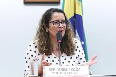 Denise Pessôa é eleita presidente da Comissão de Cultura da Câmara dos Deputados<!-- NICAID(15999346) -->