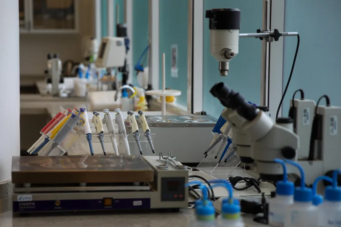 Duda Fortes / Agencia RBS Duda Fortes / Agencia RBS