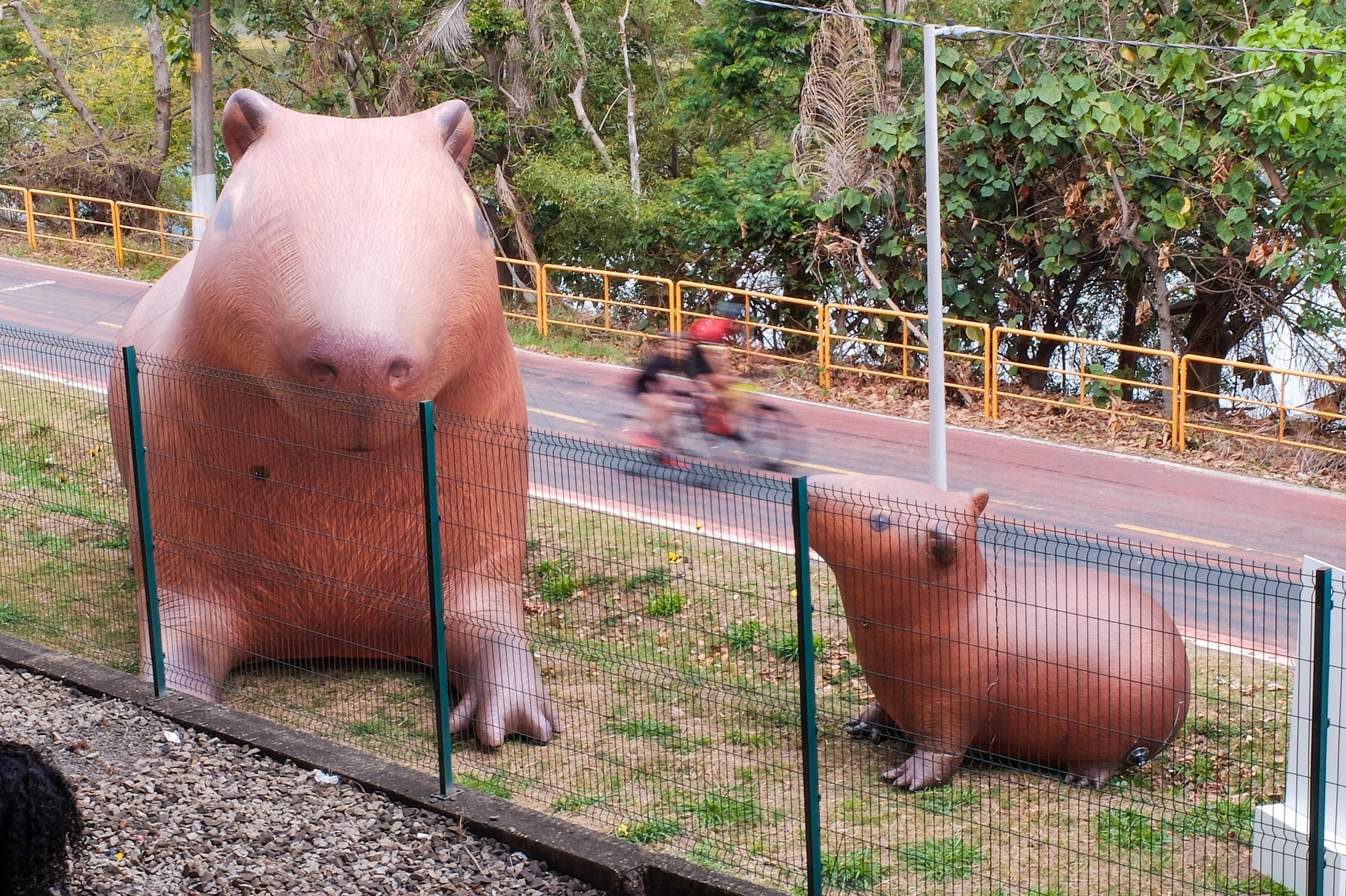 Com mural gigante, capivaras infl&aacute;veis e microfloresta, Virada Sustent&aacute;vel celebra 10 anos em Porto Alegre