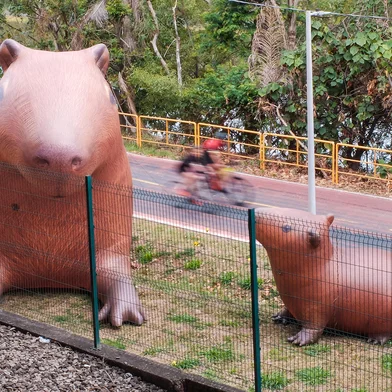 Virada Sustentável 10 anos - 2026Capivaras infláveis gigantes farão parte da ação em Porto Alegre.<!-- NICAID(16238084) -->