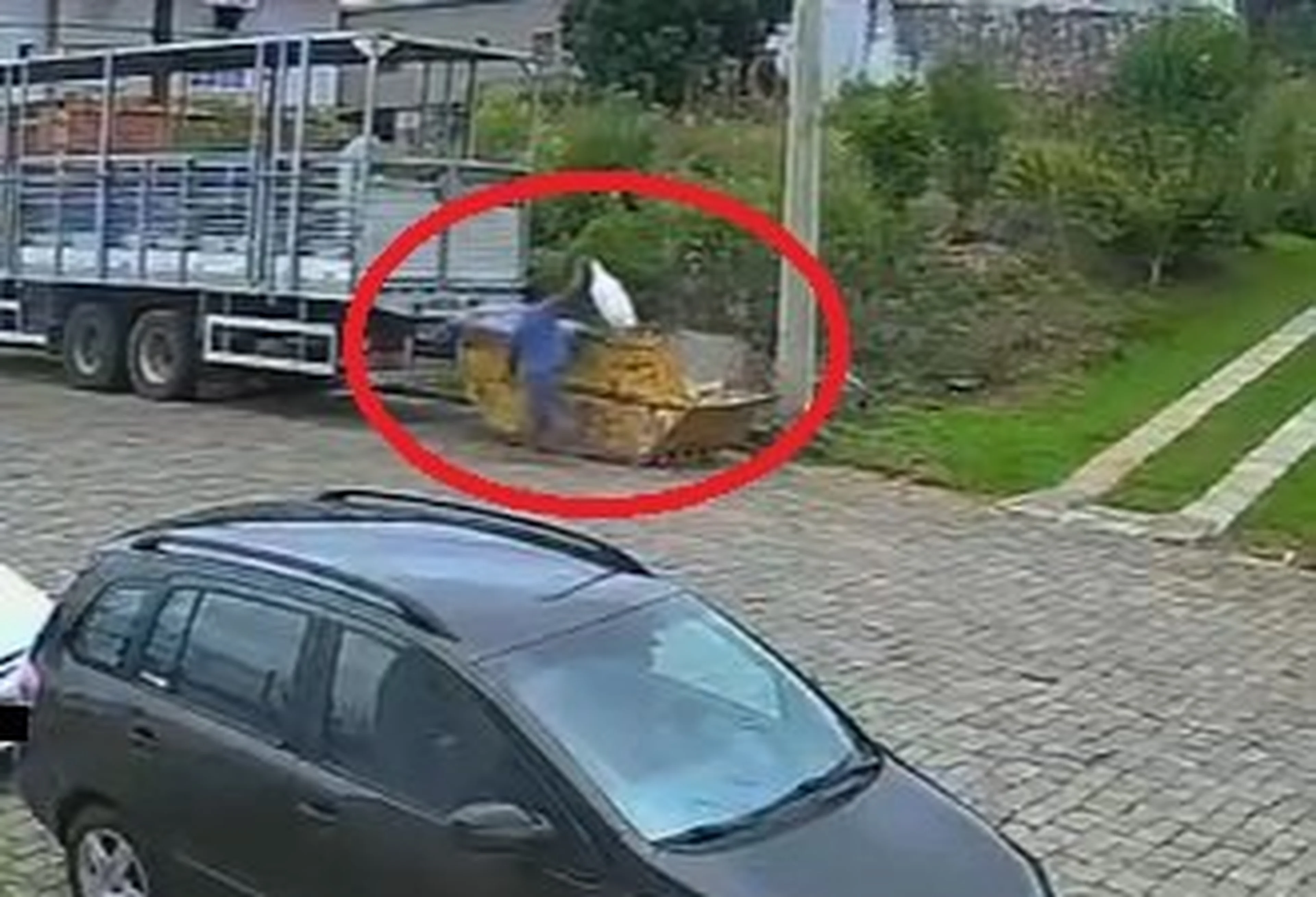 Polícia Civil/Divulgação