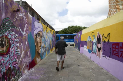 Porto Alegre, RS, Brasil - O projeto Viva Elizabeth: Diálogos que Transformam a Vila está levando artistas para colorir os muros do bairro Sarandi, na zona norte da capital. A iniciativa propõe a criação de um "graffititour", uma rota turística de grafite na Vila Elizabeth. Na imagem grafiti na Rua Pedro Moretto, 150  - Sarandi, Porto Alegre.Indexador: Jeff Botega<!-- NICAID(15386395) -->