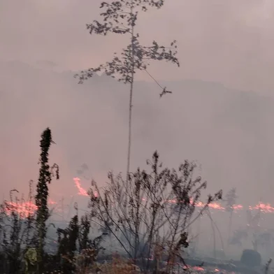 Incêndio em mata na Capela Pompéia é controlado após 8h em Ipê<!-- NICAID(15315679) -->