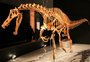 Fóssil de dinossauro contrabandeado para a Alemanha será repatriado ao Brasil