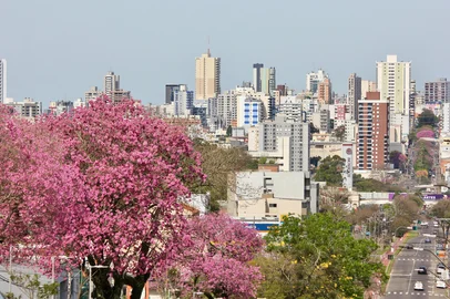 Primavera em Passo Fundo<!-- NICAID(16127153) -->