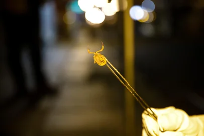PORTO ALEGRE, RS, BRASIL, 24.05.2022: Equipes da prefeitura fazem ronda para capturar escorpiões amarelos no centro da cidade. Foto: Camila Hermes/Agência RBS<!-- NICAID(15105871) -->