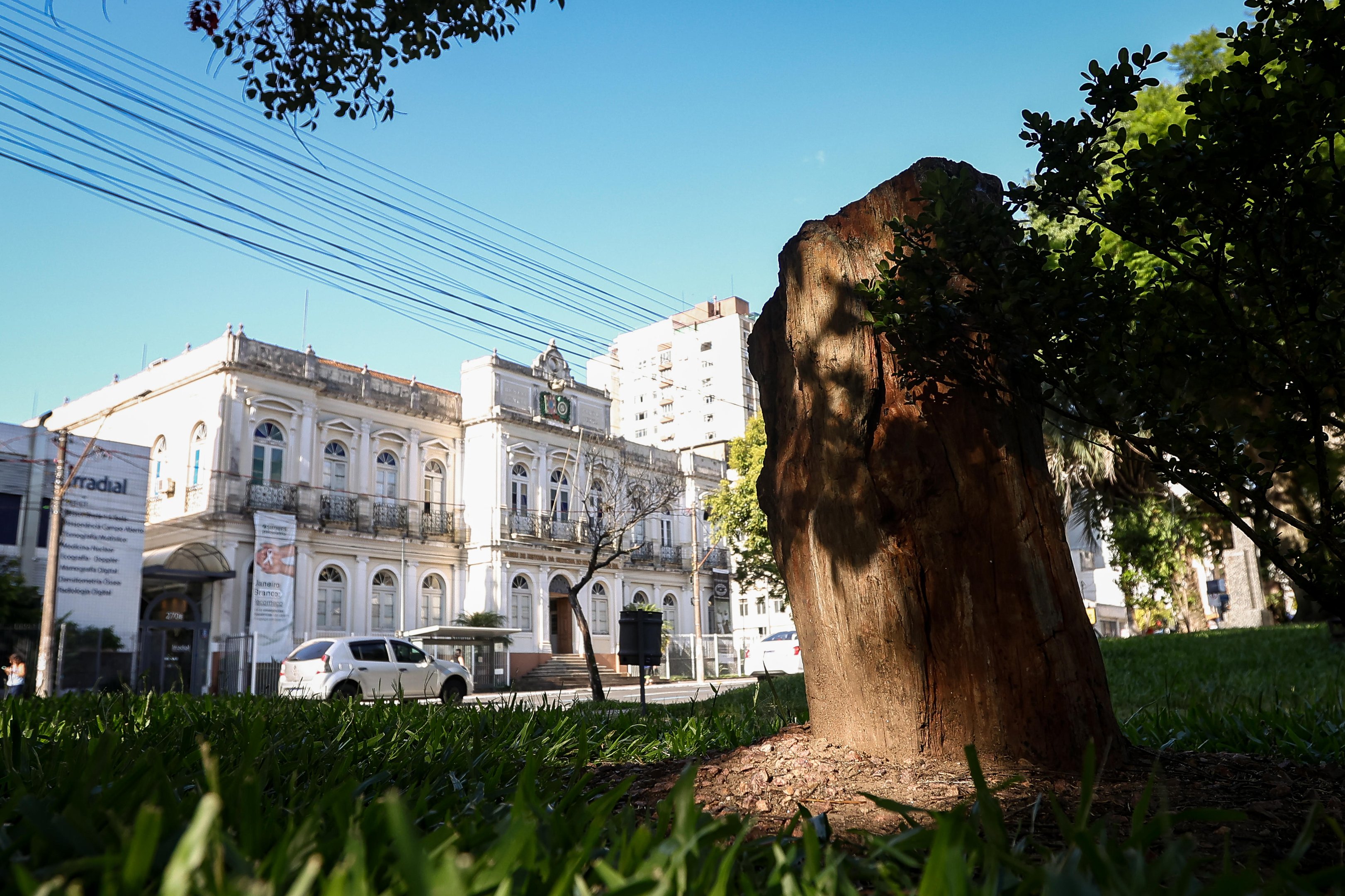 Tronco sem identifica&ccedil;&atilde;o na Pra&ccedil;a Dom Sebasti&atilde;o homenageia pol&iacute;tico ga&uacute;cho e foi inaugurado em 1973