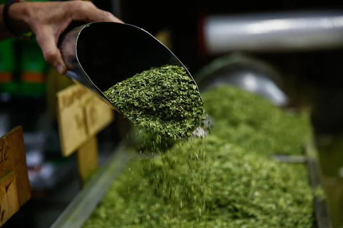 André Ávila / Agencia RBS André Ávila / Agencia RBS