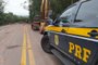 Confira quais rodovias que seguem bloqueadas na Serra nesta quinta-feira<!-- NICAID(15759254) -->