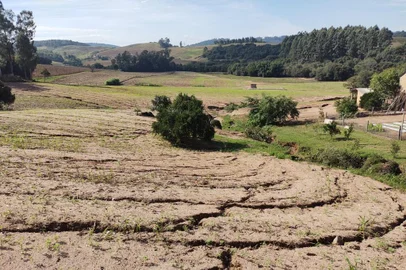 Prejuízos na agropecuária do Rio Grande do Sul. Enchente devastou lavouras e produção em diversas regiões do Estado. Na foto, danos da região de Dom Feliciano.<!-- NICAID(15774435) -->