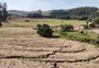 Esgotou-se em minutos o crédito do BNDES para o agronegócio do RS