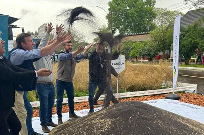 Colheita de canola em Ijuí, na abertura nacional da colheita de canola<!-- NICAID(16386388) -->