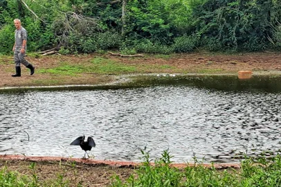 Vigilância da Secretaria de Agricultura em propriedades no entorno do foco de influenza aviária em Rio Pardo <!-- NICAID(15681479) -->