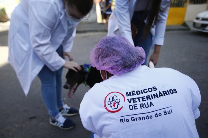 Todas as 50 vacinas contra raiva disponíveis foram aplicadas