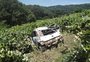 VÍDEO: carro desce ribanceira, cai em parreiral e deixa três adolescentes feridos em Caxias do Sul 