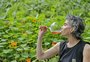 Conheça o casarão com jardim comestível e 1.089 rótulos de vinhos naturais em Porto Alegre
