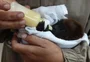 Tratamento e reabilitação de animais silvestres resgatados terão reforços em Porto Alegre