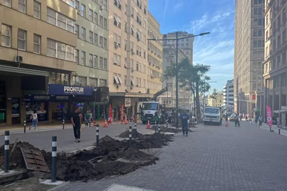 Beatriz Coan / Agencia RBS PORTO ALEGRE, RS, BRASIL - 11/11/2025 - Prefeitura de Porto Alegre realiza o plantio de árvores na Avenida Borges de Medeiros (Foto: Beatriz Coan/Agencia RBS)<!-- NICAID(16165256) -->