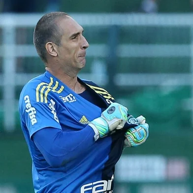 Fernando Prass, Palmeiras