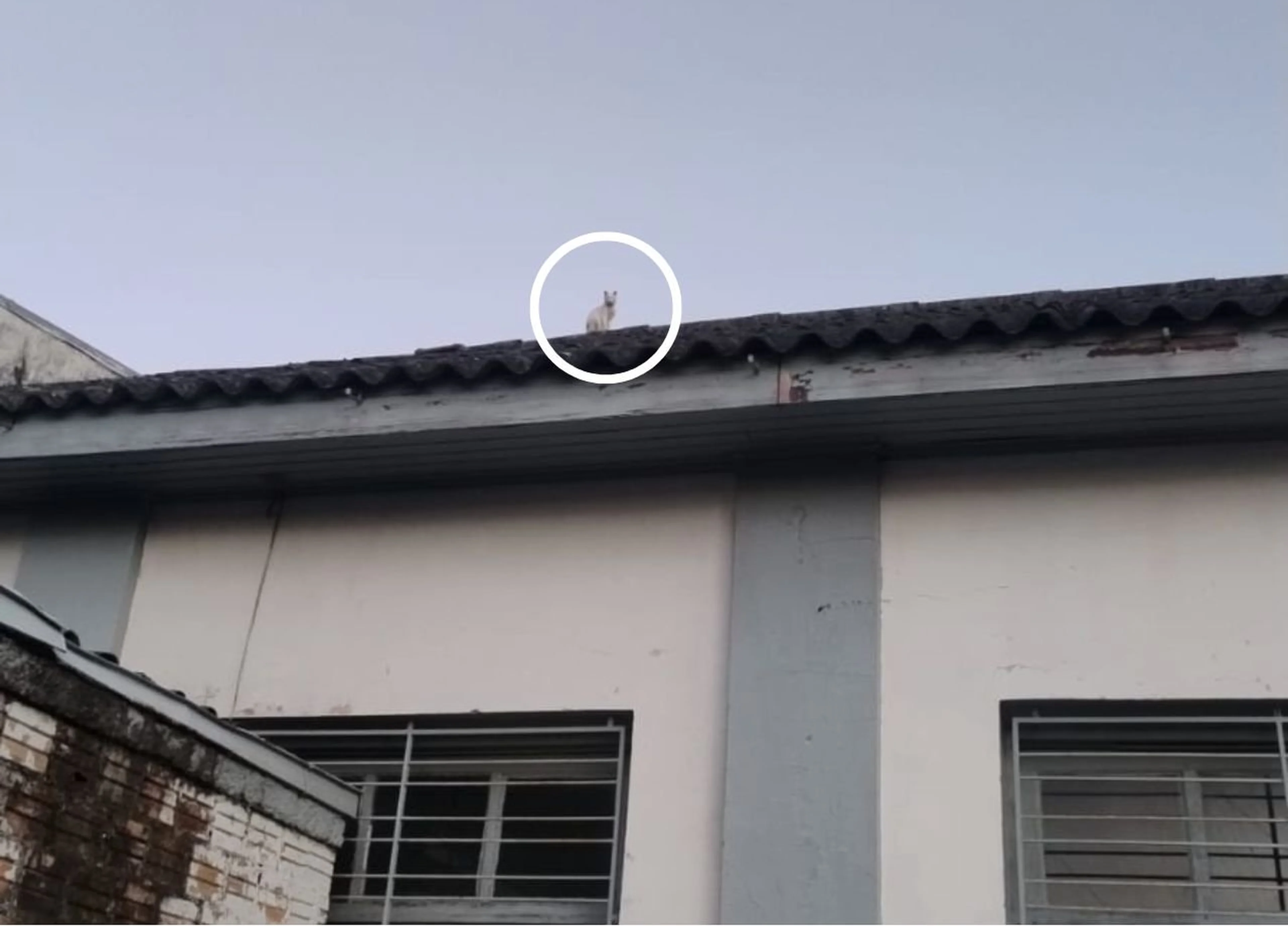 Divulgação/Polícia Civil de São Gabriel