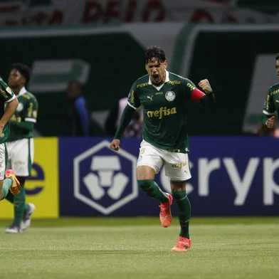 Gustavo Gómez, futebol, Palmeiras,