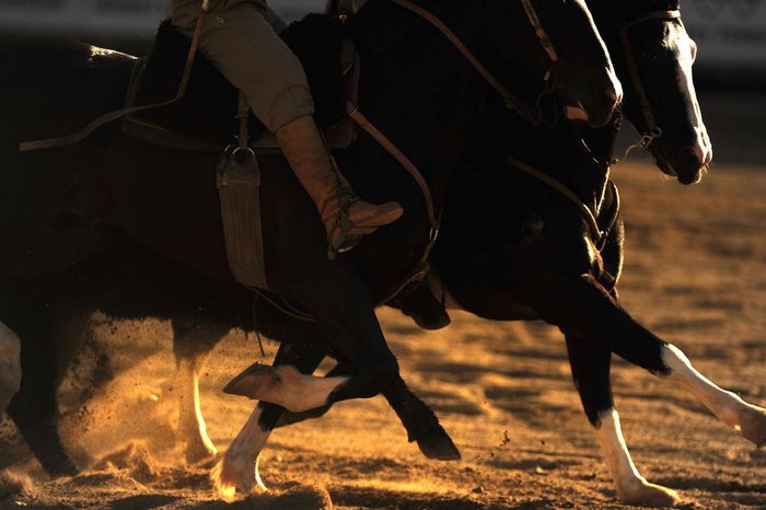 Carlos Macedo / Agencia RBS