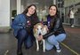 Visitamos Silveira, cão da UFSM que vive dias de celebridade no campus e nas redes