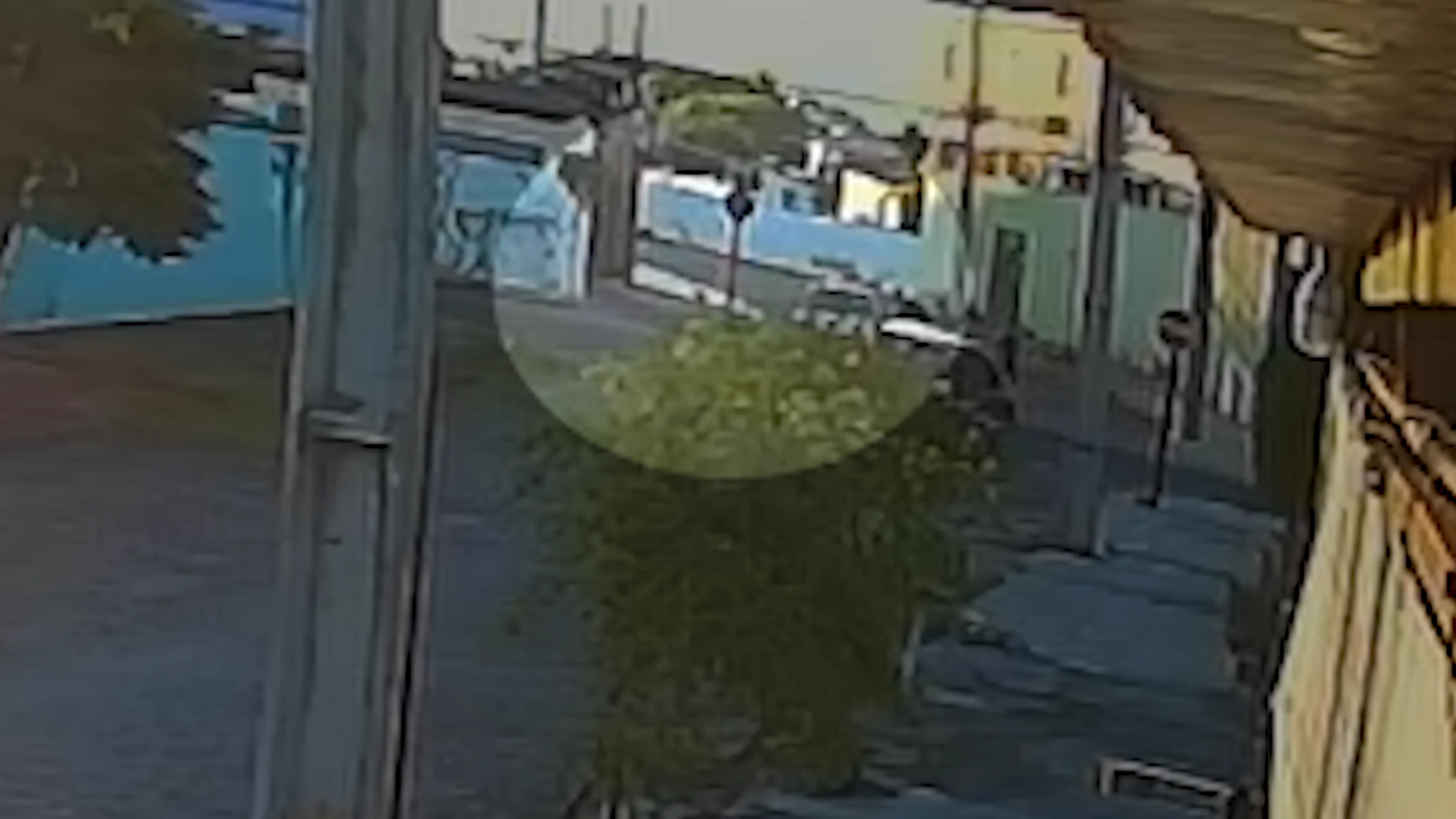 Reprodução/Reprodução