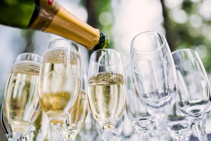 Reprodução / adobe.stock.com Reprodução / adobe.stock.com