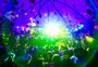 Feste de aniversário da Level Cult, em Caxias do Sul, terá 15 DJs em dois palcos