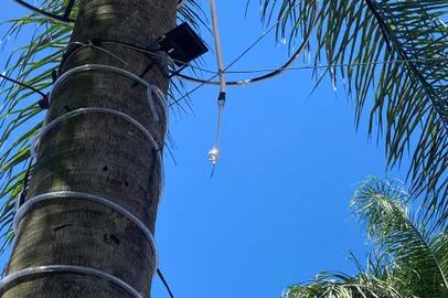Furto de fios compromete iluminação do Natal Ecológico do Boqueirão Legal, em Passo Fundo<!-- NICAID(15929040) -->