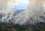 “Autoridade climática” de Lula é só mais uma farsa