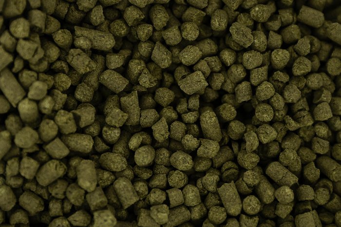 Mateus Bruxel / Agencia RBS