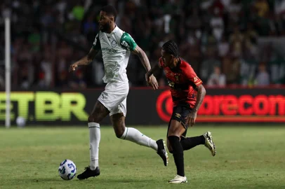 Micael, futebol, Palmeiras