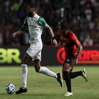 Micael, futebol, Palmeiras