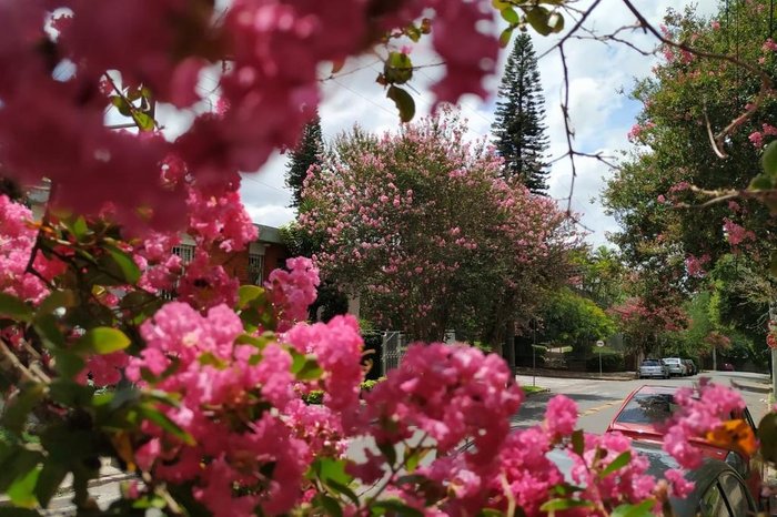 Sergio Louruz / Smamus Poa,Divulgação