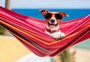 Viagem sem pet: como escolher o melhor lugar para deixar seu mascote nas férias
