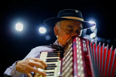 Porto Alegre, RS, BrasilLuiz Carlos Borges retorna aos palcos com show no Teatro Renascença.Indexador: Jonathan Hgeckler<!-- NICAID(15182784) -->