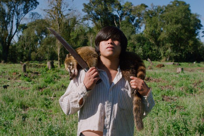 Camila Freitas / Divulgação