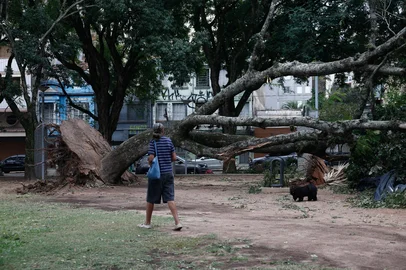 PORTO ALEGRE, RS, BRASIL - 2025.04.01 - Rescaldo dos estragos causados pelo temporal do dia 31 de março. Porto Alegre convive com árvores caídas e galhos retirados das ruas, enquanto aguardam nas calçadas que prefeitura recolha. Na foto: Praça Brigadeiro Sampaio, centro da cidade. (Foto: André Ávila/ Agência RBS)Indexador: Andre Avila<!-- NICAID(16008010) -->