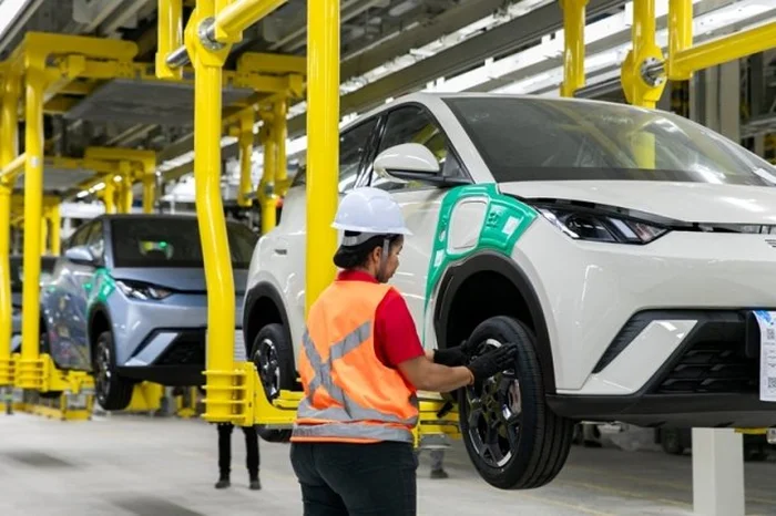 Iracema Chequer / BYD / Divulgação