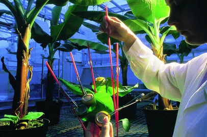 Bayer / Divulgação Caderno Expodireto. De biogenética a IA: tecnologia é aliada para lidar com eventos extremos<!-- NICAID(16241001) -->