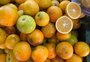 Uma das principais produtoras de laranja do RS, Liberato Salzano estima aumento de quase 60% nesta safra