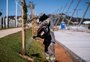 Revitalização de novo trecho da orla do Guaíba começa a ficar mais verde; veja fotos