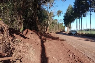 Operação Força Verde: Batalhão Ambiental da BM combate desmatamento no interior do RS<!-- NICAID(15851848) -->