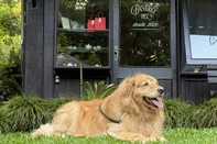 Bistrô Pet na Pousada do Engenho, em São Franciso de Paula.<!-- NICAID(16205250) -->